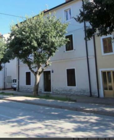 Pet Friendly Apartment Murvi 50