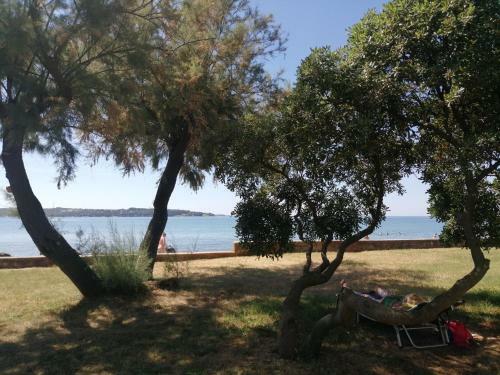 Apartment Vera, 80 M From The Sea