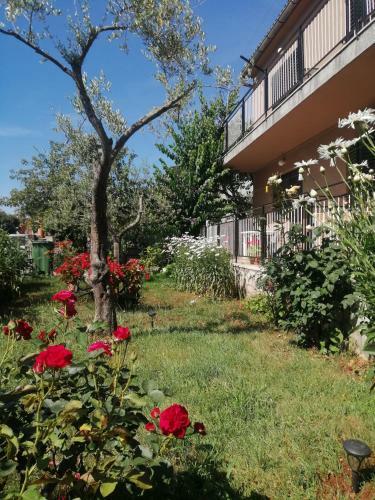 Apartment Vera, 80 M From The Sea