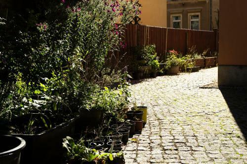 Apartamento Frank�s Ferienwohnung In Dresden