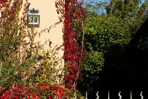 Apartamento Frank�s Ferienwohnung In Dresden