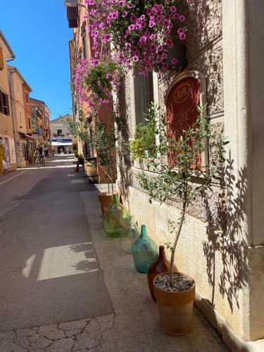 Apartamento Casa Istri�