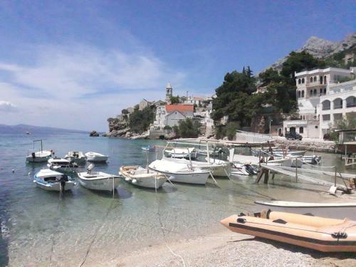 Apartman Maslina
