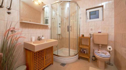 Villa Vinkovi Dvori Pisak
