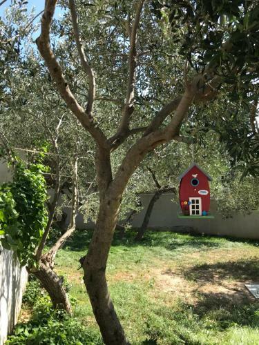 Apartmani "allegro"