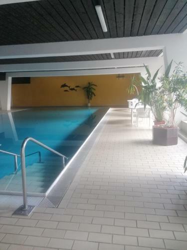 Hotel Ryan Apartament