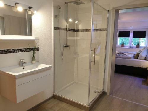 Apartamento Eifel-dream-krausbuche
