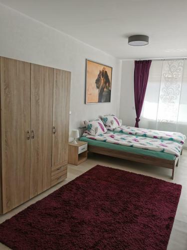 Apartamento La Casa Suciu