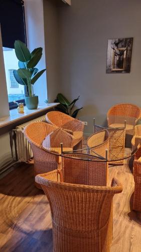 Apartamento Flensburg City 4