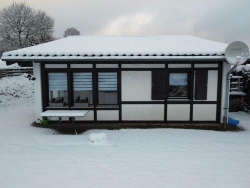 Salamander 2