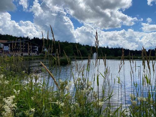 Apartamento Steinm�nnchen Ferienwohnung