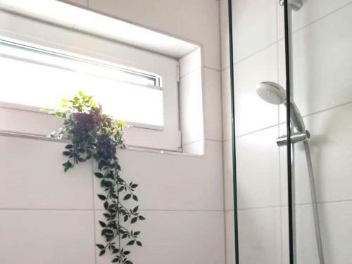Apartamento Ferienhaus Mena