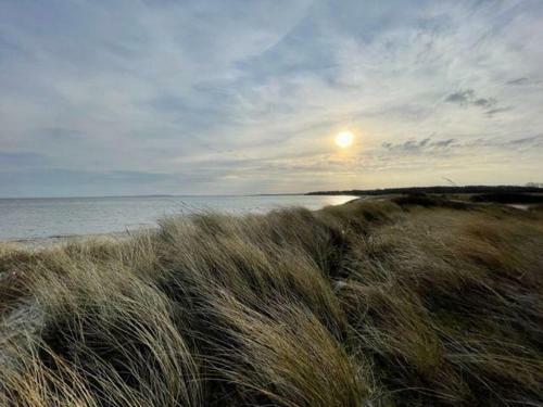 Strandgaenger-hohwacht
