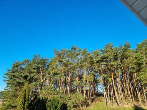Apartamento Ferienwohnung Achterwasser, Insel Usedom, L�tow