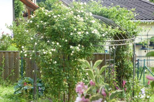 Apartamento Enzkreisspitze Garten