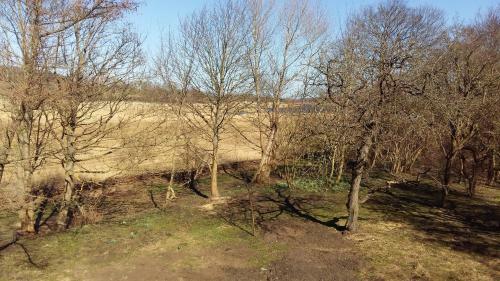 Bed & Breakfast Altes Pfarrhaus