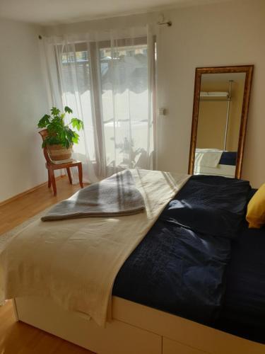 Apartamento Studio 22 Mit Freisitz Terrasse, Kaminofen, Sauna Ge�ffnet Ab Juni 2021