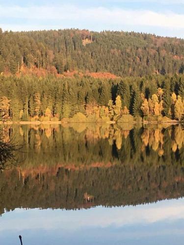 Apartamento Ferienwohnung Am Apelsberg