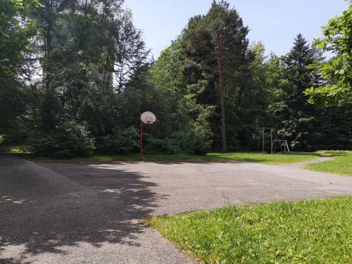Nurdachhaus Marie Im Nordschwarzwald