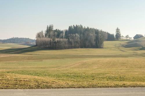 Apartamento Ferienwohnung Pusteblume