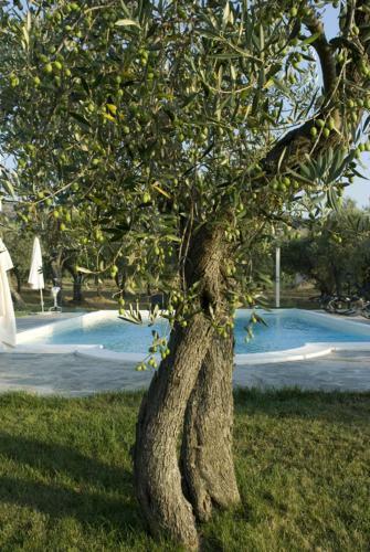 Bed & Breakfast Rosso Di Sera