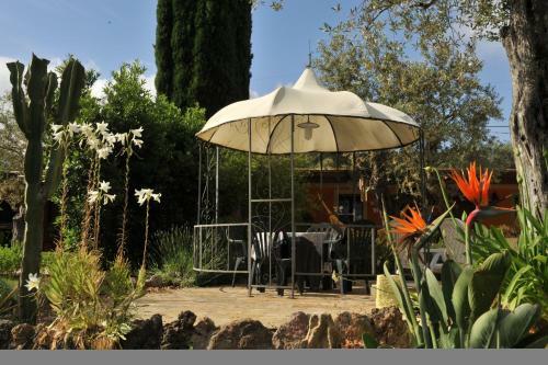 Butterfly House Bed & Breakfast