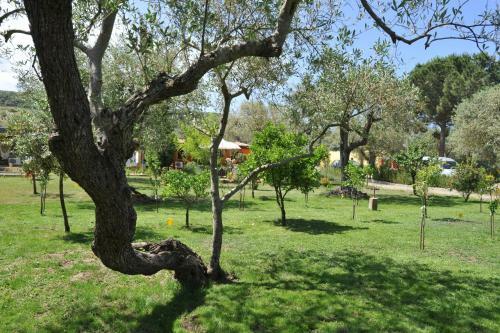 Butterfly House Bed & Breakfast