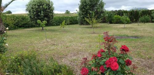 Apartamento Villa Sorrentina