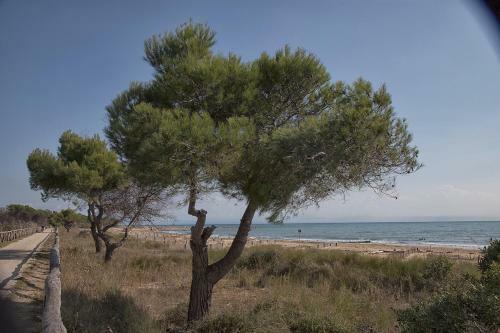 Apartamento Bosco Canoro West Bibione Residence