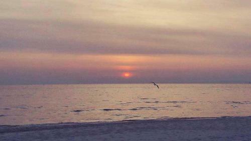 Apartamento Villa Seestern _ Strandnah