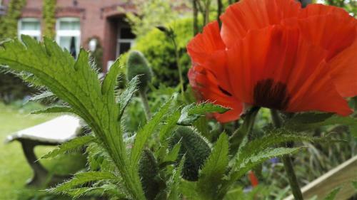Apartamento Romantischer Winkel