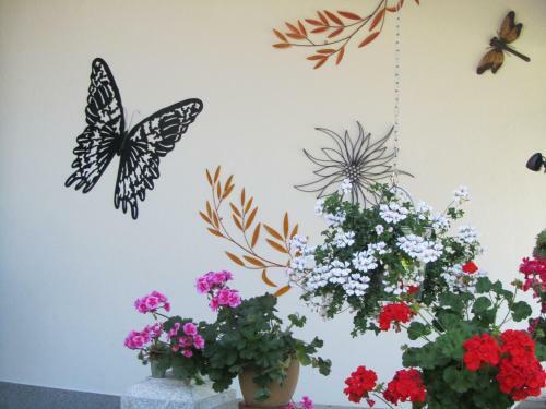 Apartment F�r Zwei