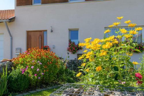 Apartamento Ferienwohnung Hohenbogen