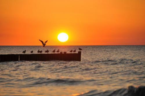 Ostsee-ferienhaus Im Gr�nen