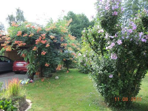 Apartamento Ferienwohnung Hanni