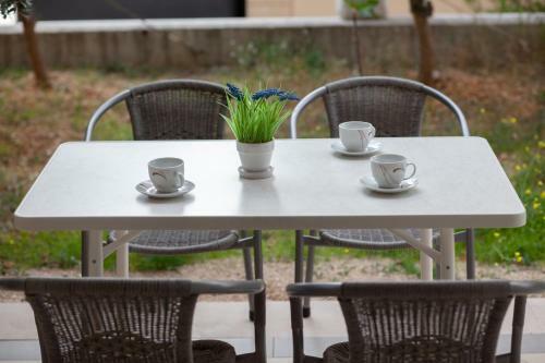 Apartamentos Villa Andric