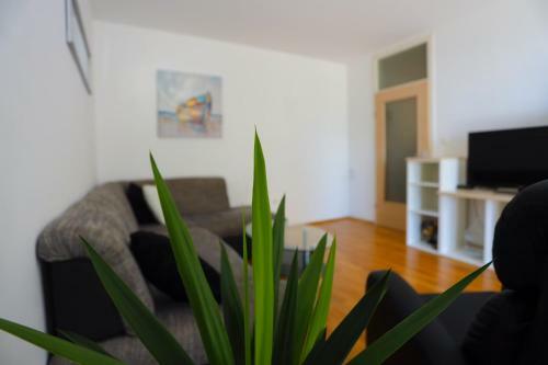 Apartman M&l