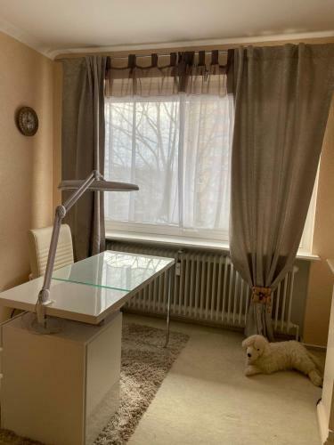 Studio Apartment Mit Balkon