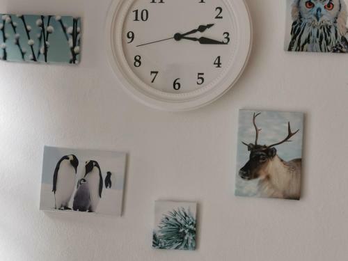 Apartamento Finnenhaus