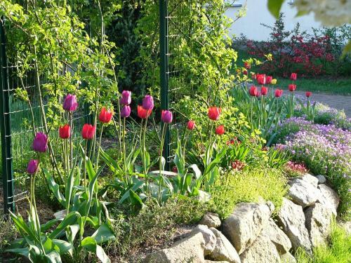 Apartamento Fernblick
