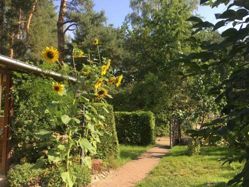 Holzhaus Trollbl�mchen Am Wald Und See