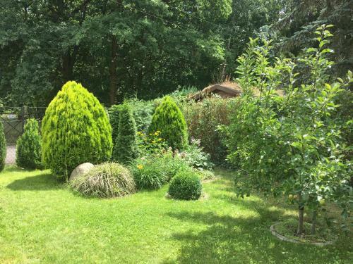 Holzhaus Trollbl�mchen Am Wald Und See