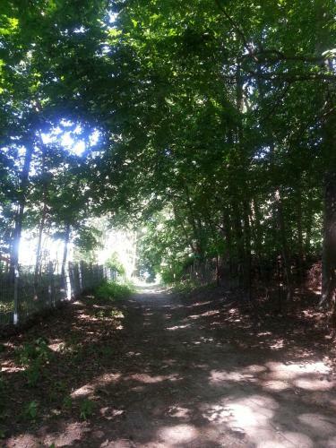 Holzhaus Trollbl�mchen Am Wald Und See