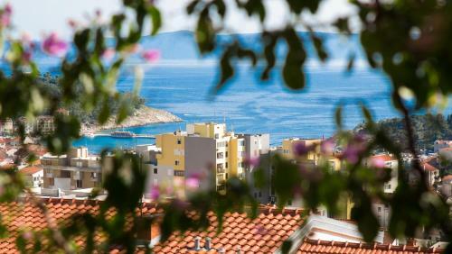 Apartment Iva With Sea View