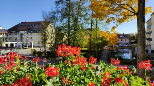 Bed & Breakfast Pension Schneider, Bad G�gging