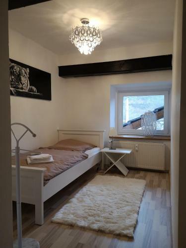 Apartment Direkt An Der Waldnaab