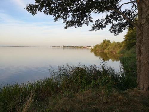 Ferienhaus Struckmann Am Steinhuder Meer