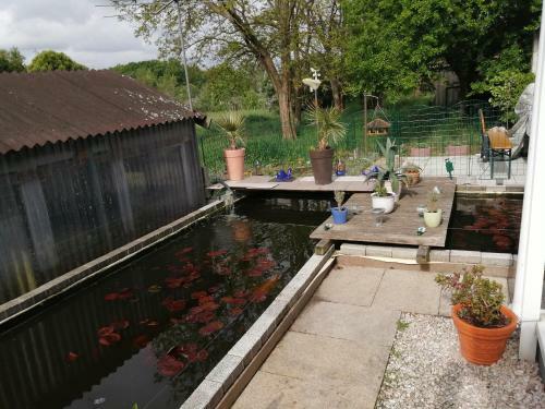 Apartamento Kleines Haus Im Oderbruch
