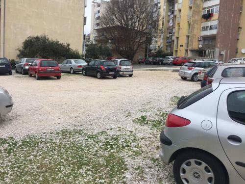 Apartments Drago