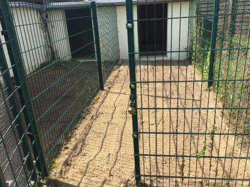 Apartamento Ferienwohnung Neustrelitz